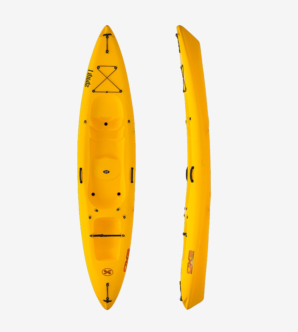 Shark 1