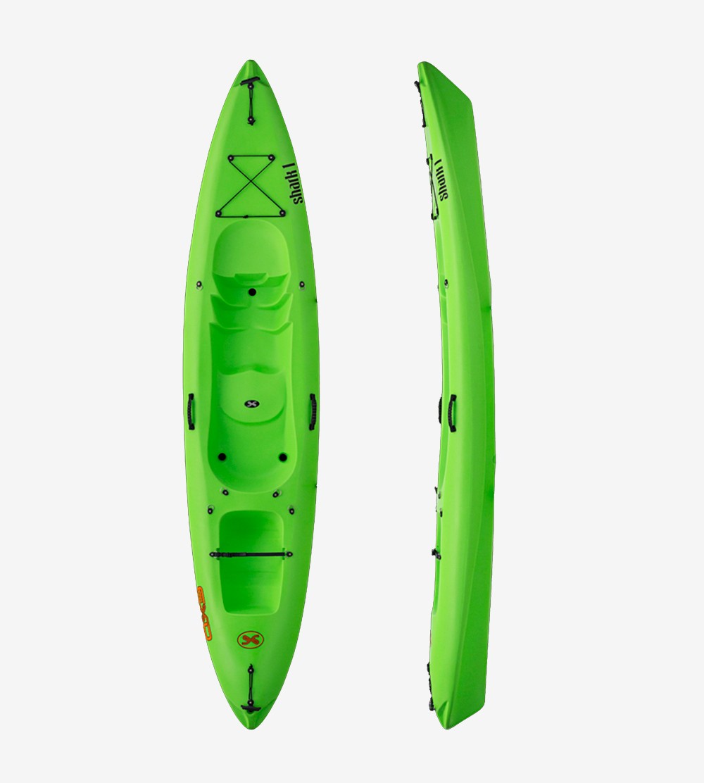 Shark 1