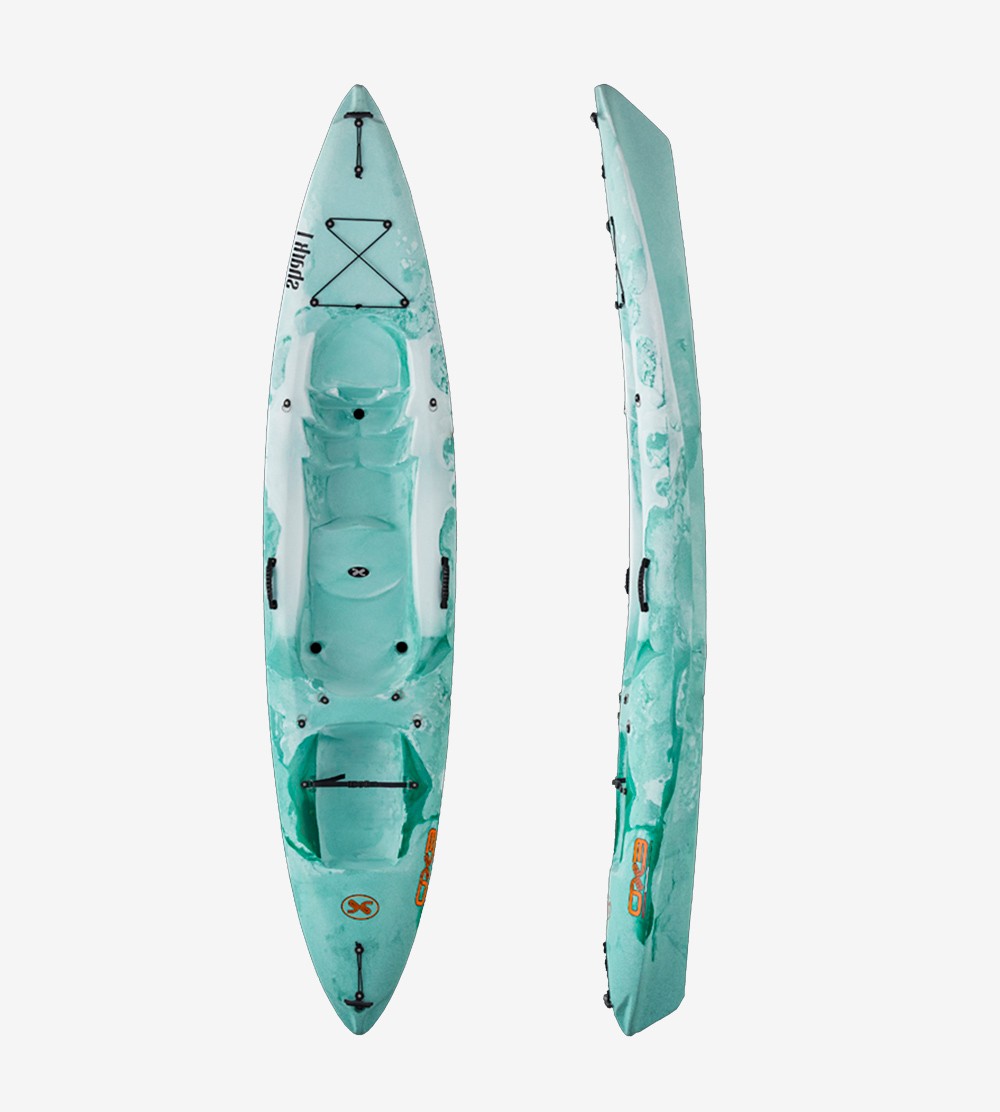 Shark 1